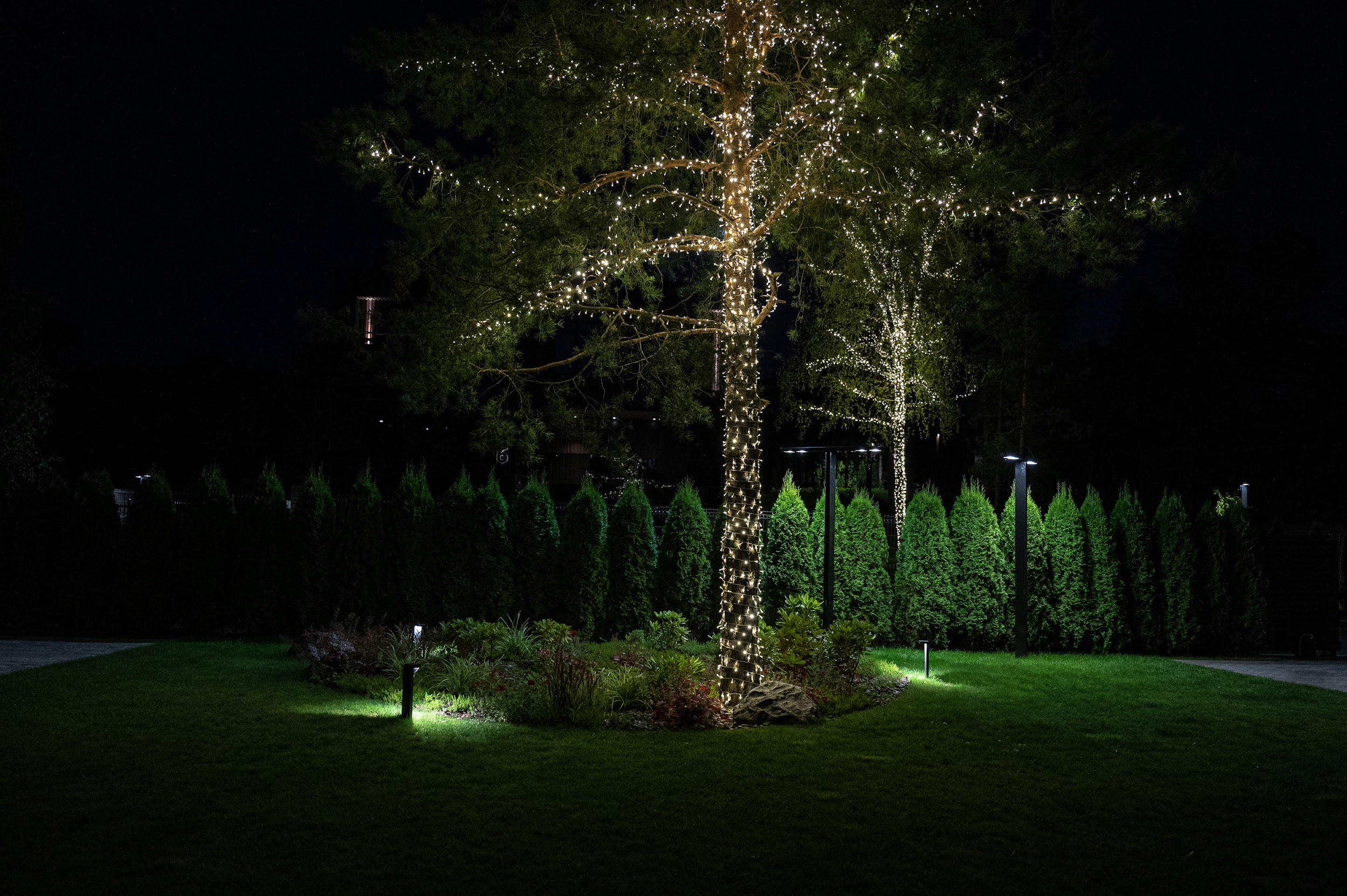 site image